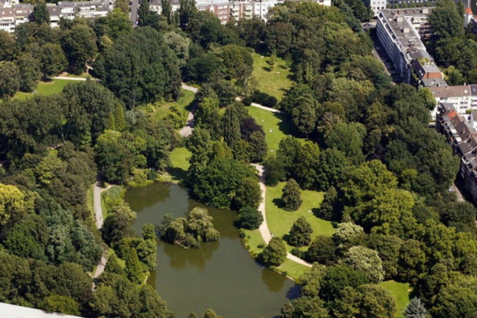 TC 1913 Düsseldorf e. V. - Blick von oben auf eine große Grünanlage mit See